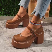 【LZ】۩☑  Bombas de salto alto plataforma robusto para mulheres alças de tornozelo sapatos Mary Jane Lolita rosa fofo festa plus size 42 outono 2023