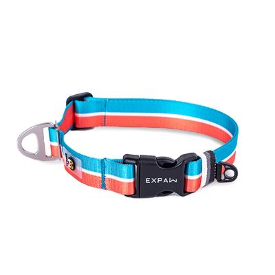 Fashion Dog Collar Adjustable Nylon Pet Neck Belt Training Walking Small Dog Accessories Greyhound Collars