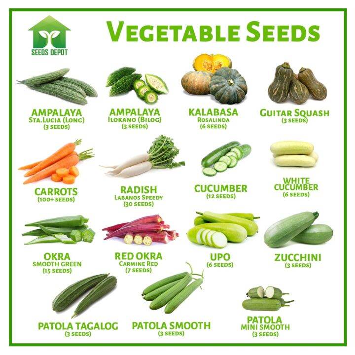 50 Seeds (buy 2 get 1 free) Vegetable Ampalaya Carrots Kalabasa Okra ...