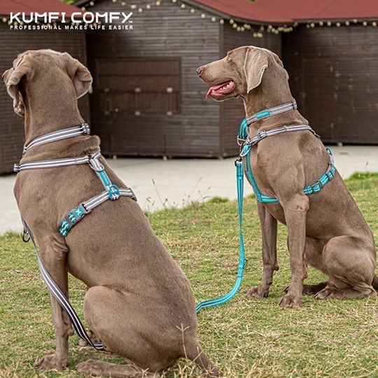 สายรัดตัวหลายฟังก์ชั่น-complete-control-harness-kumfi-comfy-จากตัวแทนจำหน่ายอย่างเป็นทางการ-เจ้าเดียวในประเทศไทย