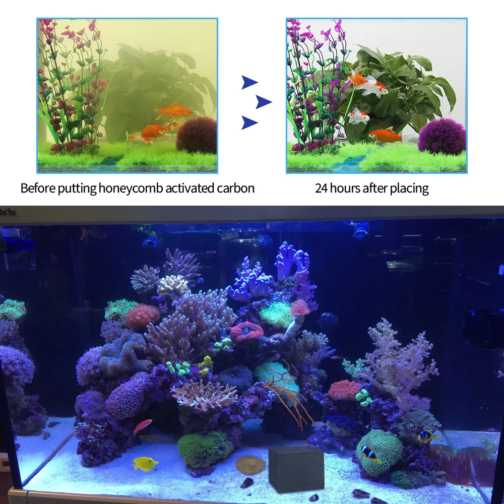 Ecoaquariums Aquarium New Filtration Material Rapid Water Purification