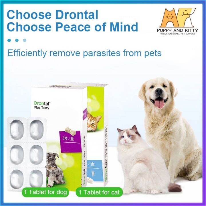 Drontal Dewormer 1 Tablet only For Dog and Cat Lazada PH