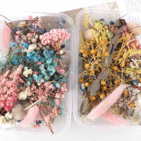 【cw】Dried Flowers Artificial Flowers Scented Candles Floating Flowers Dried Flowers Fragmentary Flowers DIY Flower Arrangement 【hot】