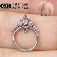 G23 Titanium F316 Nose Piercing Ring Nariz Piercing Ear Cartilage Tragus Goth Piercing Nez Earrings Nase Septum Piercing Ring