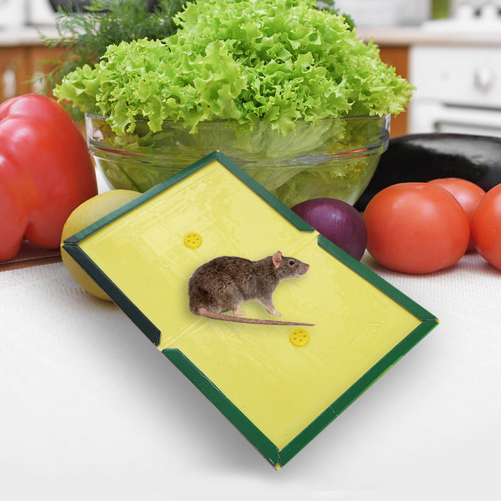 fast-delivery-mouse-rat-insect-sticky-adhesive-non-toxic-mouse-sticky-adhesive-ready-to-use-indoors-outdoors-long-lasting-in-restaurant-kitchen-hotel
