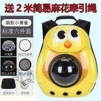 of cartoon portable pet cat dog compartment backpack cage supplies carry out air travel bag