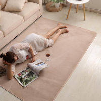 Living Room Carpet Coral fleece Sofa Coffee Table Rugs Kids Bedroom Non-slip Soundproof Home Carpet Gray Balcony Bay Window Mat