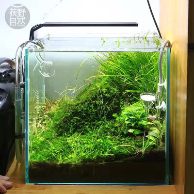 Chihiros C series ADA style Plant grow LED light mini nano clip aquarium water plant fish tank new arrived!