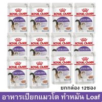 (ลด50%) [ยกกล่อง] อาหารแมวเปียก Royal Canin Sterilised Loaf Wet Cat Food สำหรับแมวโตทำหมัน รสเจลลี่ 85ก. (12ซอง) เฉพาะวันนี้เท่านั้น !