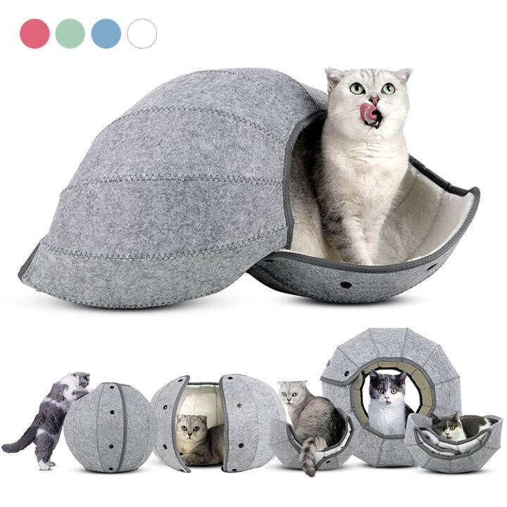 Cat accessories hot sale lazada