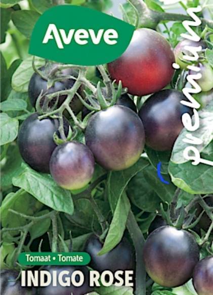 มะเขือเทศ-เมล็ดพันธุ์มะเขือเทศเชอรี่ม่วง-indigo-tomato-seeds-ราคาถูก-ปลูกง่าย-โตไว-บรรจุ-10-เมล็ด