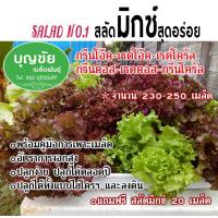 เมล็ดพันธุ์ / เมล็ดพันธุ์พืช / เมล็ดผัก / เมล็ดผักสลัด สลัดมิกซ์ (กรีนโอ๊ค-เรดโอ๊ค, กรีนคอส-เรดคอส, กรีนโครอล-เรดโครอล) จำนวนรวม 270-300 เมล็ด สุดอร่อย