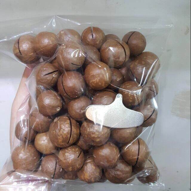 แมคคาเดเมีย-100-กรัม-อบพร้อมทาน-macadamia-แบบมีเปลือก-เต็มเม็ด-มีที่แกะเปลือก