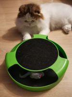 TCN ของเล่นแมว Motion Cat Toy    หนูหมุนได้ คอนโดแมว  ของเล่นเหมียว