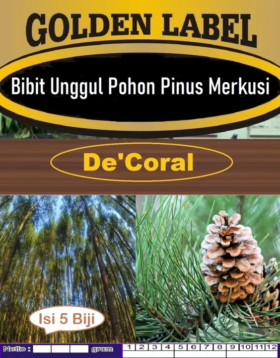 Bibit Unggul Pohon Pinus Merkusi Biji Benih Pohon Pinus Merkusi Biji Bunga Pinus Lazada 9767