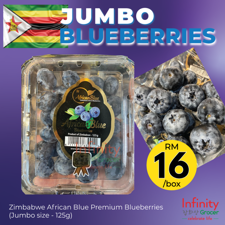 African Blue JUMBO Blueberry Bundle (125gx2) – FattFruits