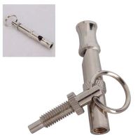 Stainless Steel Puppy Pet Dog Whistle Two-tone Flute Stop Barking Repeller Cat Training Keychain Whistles