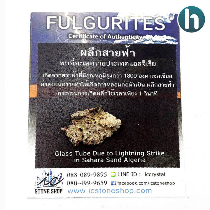 ฟูลกูไรต์-fulgurite-หรือผลึกสายฟ้า-เกิดจากฟ้าผ่าที่ทะเลทรายซาฮาร่า-ขนาดเล็ก-จำนวน-1-ชิ้น