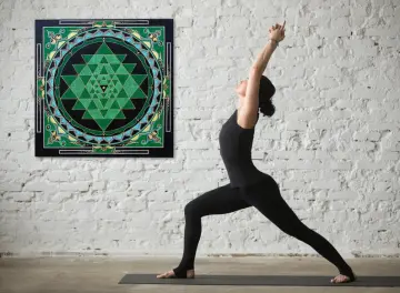 Buy Chakra Mandala and Sri Yantra Leggings Sacred Geometry Online in India  