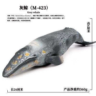Simulation model of Marine animal toys children solid leaping wild static plastic model blue whale