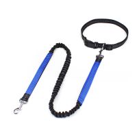 2022 New Reflective Leash Traction Rope Pet Dog Running Belt Elastic Hands Freely Jogging Pull Dog Leash Metal D-ring Leashes