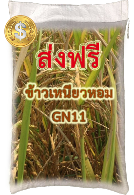 ส่งฟรี  GN11 ข้าวเหนียวหอม GN11( cp888 ขนาด 5-20kg.)