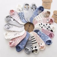 SP&amp;CITY 5pairs Cute Animal Cotton Socks Female Kawaii Cat With Dog Summer Short Sock Slippers Women Casual Soft Funny Boat Socks