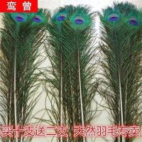 ❈ ornaments peacock feathers pure natural real feather vase decorations tail wedding