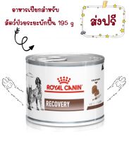 -ส่งฟรี- Royal Canin Recovery Cats Dogs อาหารสุนัข แมว สัตว์ป่วยพักฟื้น กระป๋อง 195g 12 กระป๋อง