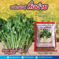 เมล็ดพันธุ์คึ่นฉ่ายกวางเจา (ลูกโลก) ขนาด 400 กรัม