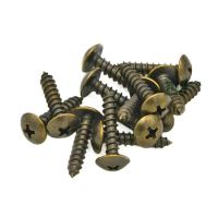 M4x20mm Bronze Truss Self-tapping Screw Phillips Mushroom head Screws Bolts Nails Screws  Fasteners