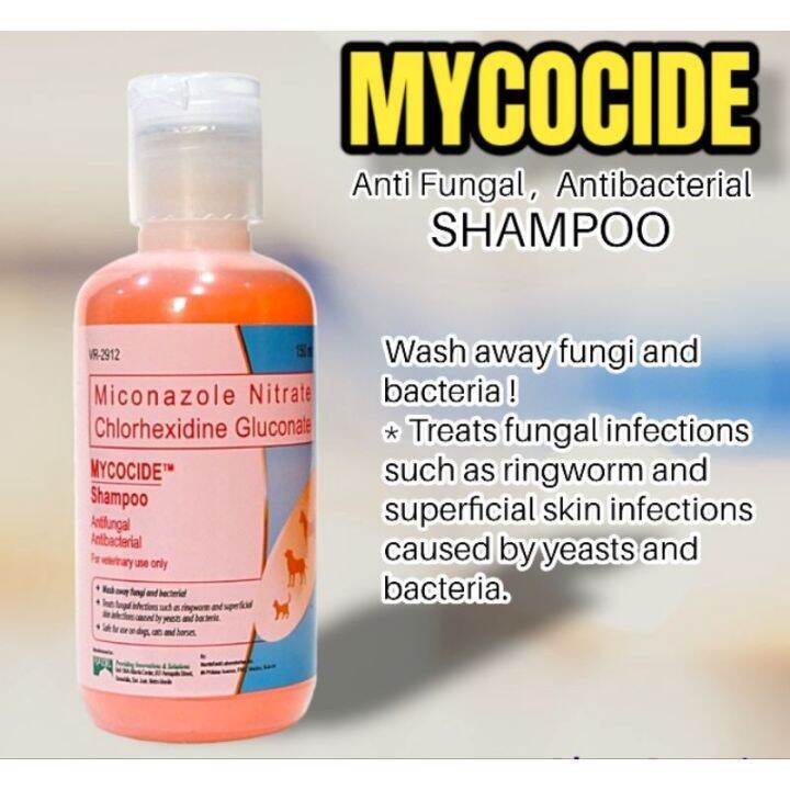 Mycocide Antifungal Shampoo 150ml Lazada PH