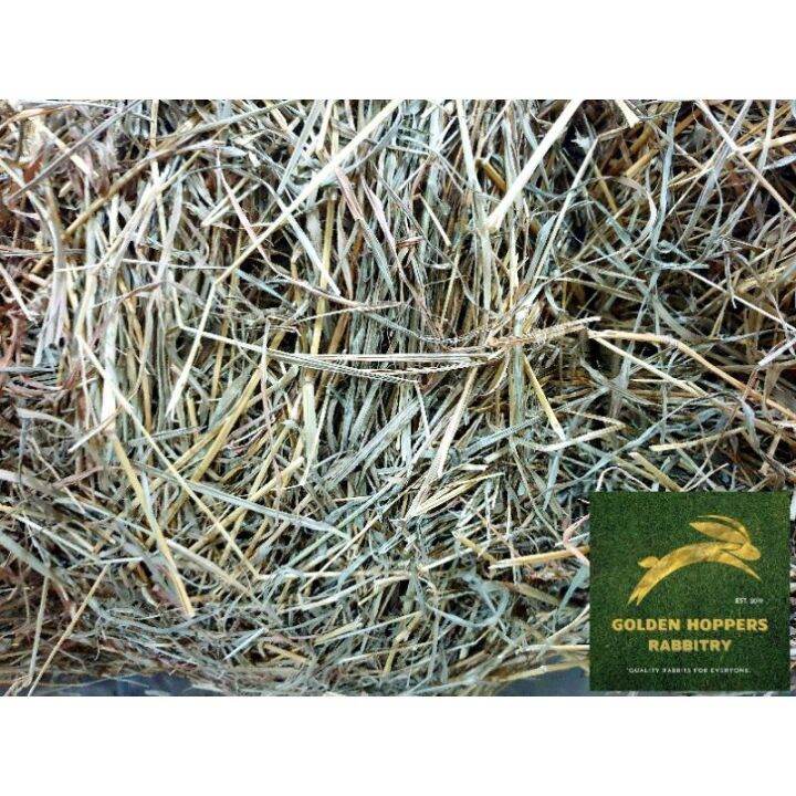 StarGrass Hay for Rabbits and Guinea Pigs (500g) Lazada PH