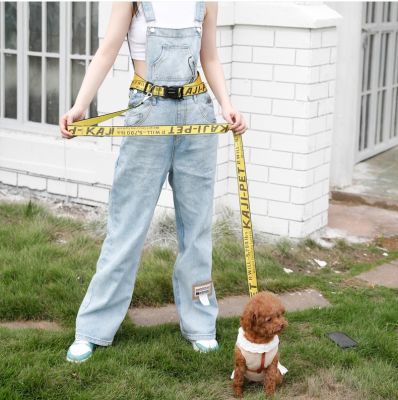 【LZ】 160cm New Adjustable Pet Dog Cat Leash with Waist Belt for Walking Running Training Hands Free Fashion Leash Dog Accessories