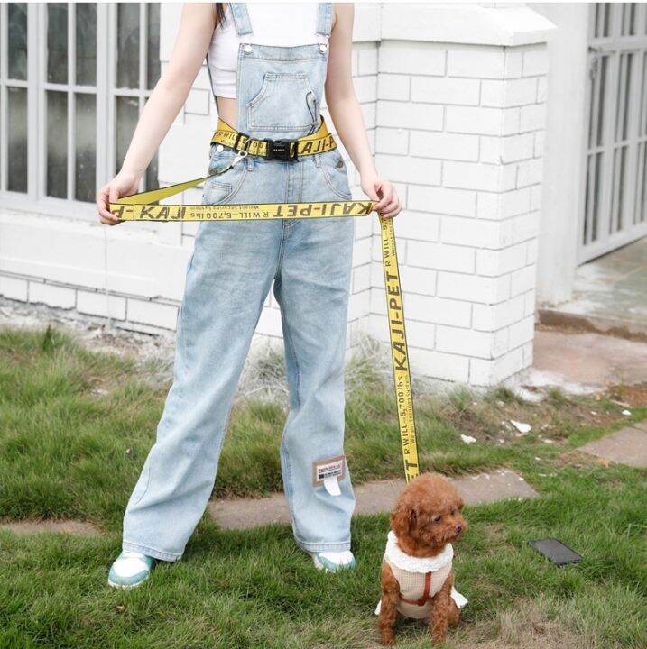 lz-160cm-new-adjustable-pet-dog-cat-leash-with-waist-belt-for-walking-running-training-hands-free-fashion-leash-dog-accessories