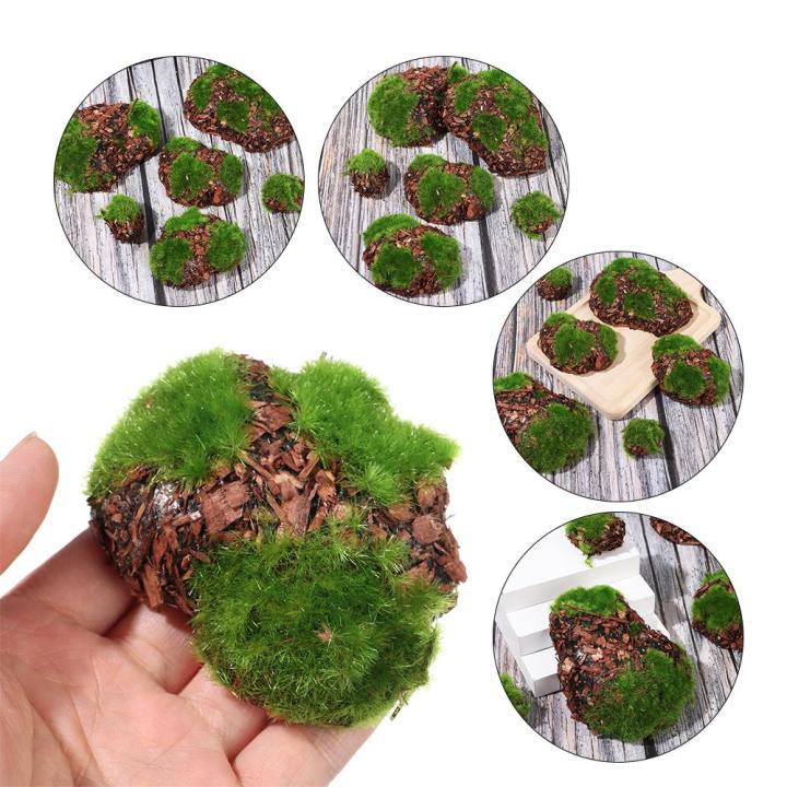 ACCLAIM 6PCS/Pack Mini Vườn cổ tích Gỗ cỏ nhân tạo Nhiều hình dạng Đá rêu  xanh Phong cảnh Vi mô Khối đá giả Đá mô phỏng 