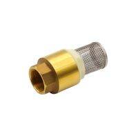 Brass One Way Valve Check Valve Non Return with Strainer Filter 1/2 BSPT Female Threaded