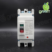 Applegreen Molded Case Circuit DC Breaker 2P 80A 660V MCCB Solar cell เบรคเกอร์ไฟฟ้า ใช้กับไฟ DC ใช้กับระบบโซล่าเซลล์