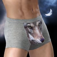 Boxer Men Underpants Modal Mens Wolf Panties Cartoon Animal Funny Boxers Hombre U Pouch Bulge Underwear Men Lingerie Gift