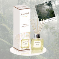 ScentVenir น้ำหอม ปรับอากาศ น้ำหอมในบ้าน ก้านไม้หวายกระจายกลิ่น กลิ่น เรนฟอเรสท์ ขนาด 100 ml. ใช้นาน 3-4 เดือน  Reed Diffuser ScentVenir แถมฟรี!! ก้านหวาย 3 ชุด (ชุดละ 7 ก้าน)