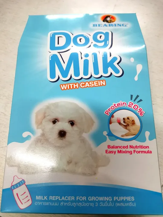 can you give a puppy milk