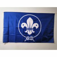 Cheap 3x5ft Scouts Flag Boy Movement For Decoration Indoor Or Out Door Polyester Advertising Promotion Vivid Color Decor