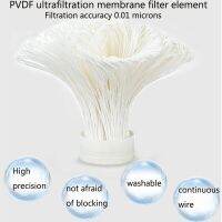 ตัวกรอง1000L PVDF 304เหล็กสแตนเลสน้ำไส้กรองอัลทราฟิลเทรชั่นไส้กรองอัลทราฟิลเทรชั่นองค์ประกอบที่ใช้ในครัวเรือนเครื่องดื่มในครัว