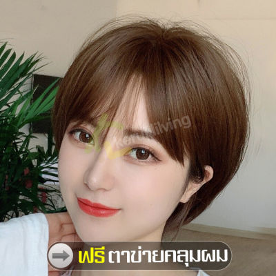 ผมปลอม แฮร์พีชผมปลอม วิกผมสั้น Short wig สไตล์เกาหลี วิกผมตรง วิกผมซอยสั้น มี 4 สีให้เลือก เหมือนจริง ดูเป็นธรรมชาติ วิกผมบ๊อบ แถมเน็กคลุม