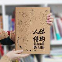 VXJKQN หนังสือภาพวาดมืออาชีพนักเรียนโครงสร้างร่างกายมนุษย์เรียนการฝึกหัดวาดด้วยมือตำราศิลปะการคัดลอกศิลปะหนังสือแบบฝึกหัดศิลปะการติดตามร่างเส้นหนังสือแบบฝึกหัด