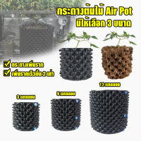 Marino กระถางปลูกต้นไม้ Air Pot กระถางมีรู มี 3 ขนาดให้เลือก 3,5,12 แกลลอน No.KS067 KS068 KS069