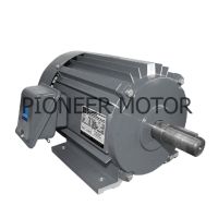 PIONEER MOTOR มอเตอร์กำลัง มอเตอร์ไฟฟ้า 3 เฟส 1 แรง