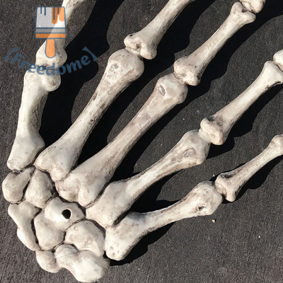 【Freedome】 💖New Production💖 Halloween Skull Skeleton Human Hand Bone Zombie Party Terror Adult Scary Props