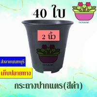 (40ใบ) papamami กระถางพลาสติก กระถางดำ ปากแตร 2นิ้ว กระดิ่ง กระถางปลูกต้นไม้ กระถางต้นไม้ ที่ปลูกต้นไม้ กระถางแค็คตัส กระถางปลูกตอ สีดำ กระถาง2นิ้ว กระถางจิ๋ว กระถางเล็ก