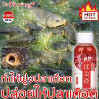 GuDaoxiang เหยื่อปลา 60ml เหมาะสำหรับปลาทุกชนิด กระตุ้นให้ดึงดูดปลาเข้าใกล้ กระตุ้นความอยากอาหารของปลา จำเป็นสำหรับการตกปลา อาหารตกปลา หัวเชื้อเหยื่อตกปลา ผงกระตุ้นปลา  สารเร่งปลากิน  หัวเชื้อผง หัวเชื้อล่อปลา หัวเชื้อตกปลา ฟีโรโมนตกปลา ผงล่อปลา ผงดึงดูดป